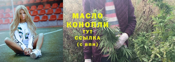 дмт Алексин